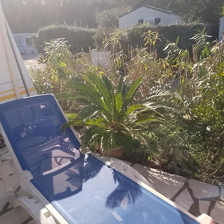 Kemping Au Paradis De La Legue *